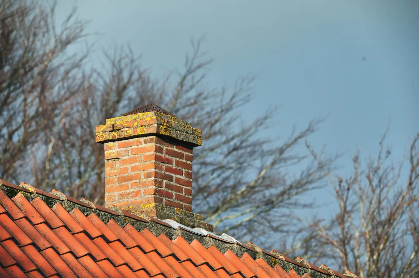 DIY vs. Professional Chimney Cleaning